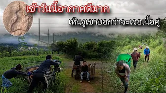 เห็นงูเขาบอกว่าจะเจอเนื้อคู่จริงไหม.?วันนี้อากาศดีมากออกไปทำงานตั้งแต่เช้าเลย