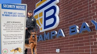 TAMPA BAY CRUISE PORT - WHAT YOU NEED TO KNOW ABOUT SECURITY, PARKING & BOARDING!