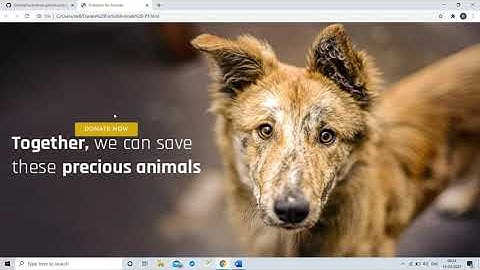 Payment Gateway Integration | Sparks Foundation| Web Devlopment Internship