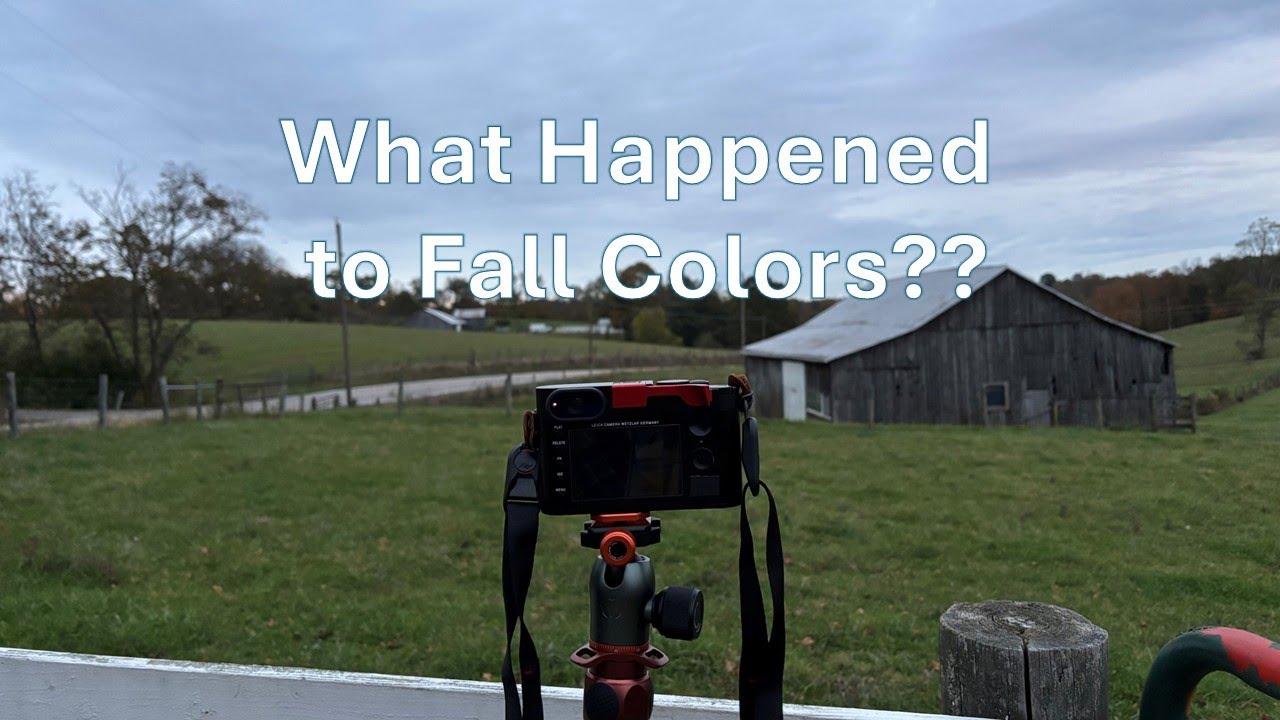 Muted Fall Colors & Cloudy Sunrise | Real-World Landscape Photography with the Leica Q