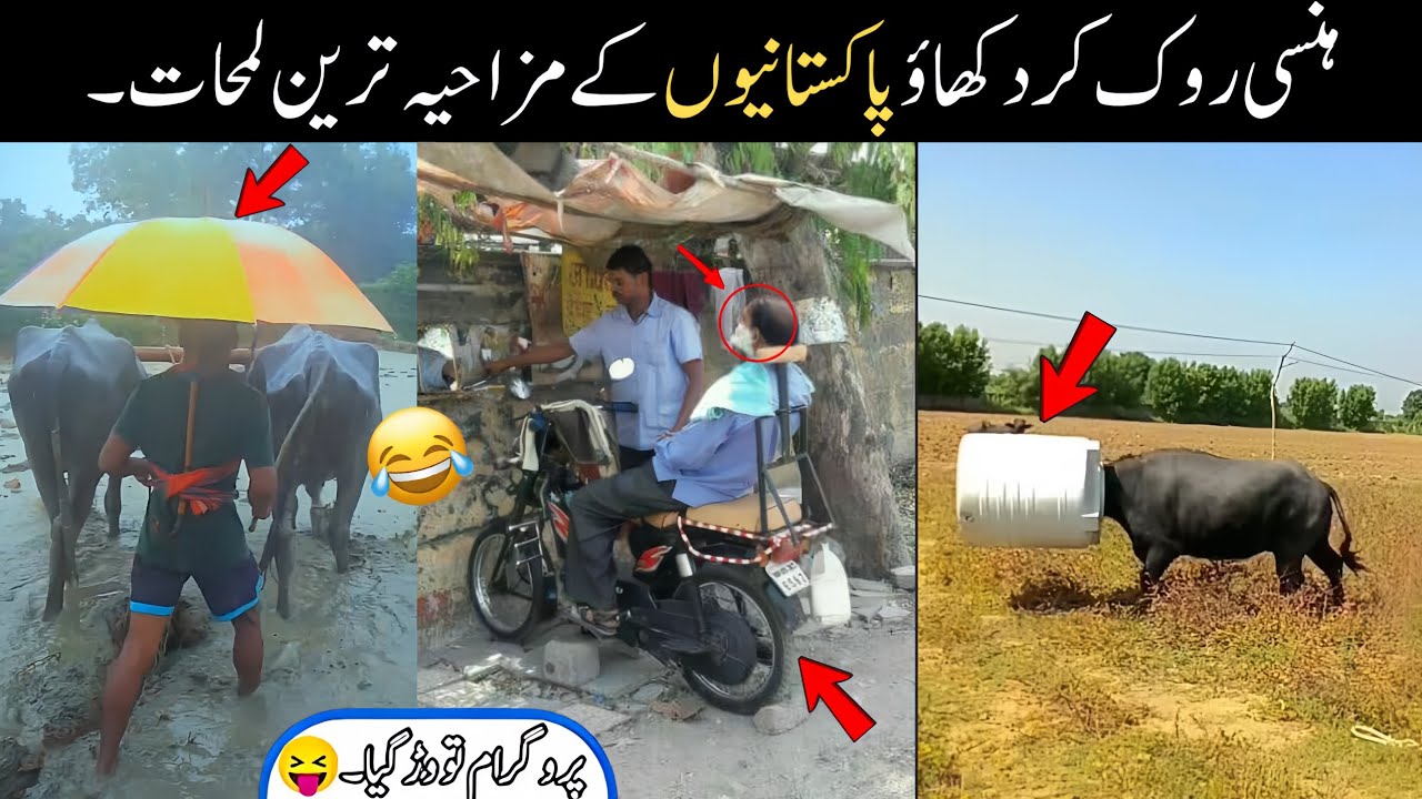MOST FUNNY MOMENTS OF PAKISTANI | PART 55 😂🤣 PEOPLE | Pakistani Funny Video