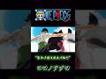 ONEPIECE &ldquo;背中の傷は剣士の恥だ&rdquo; ロロノアゾロ #onepiece #ゾロ #ミホーク