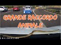 BAD DRIVERS OF ITALY dashcam compilation 8.17 - GRANDE RACCORDO ANIMALE