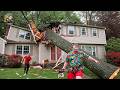 Idiots With Chainsaws: Tree Cutting Fails | Extreme Dangerous Trees Falling On Houses #12