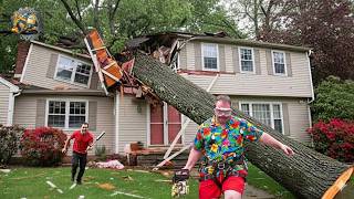 Idiots With Chainsaws: Tree Cutting Fails | Extreme Dangerous Trees Falling On Houses #12