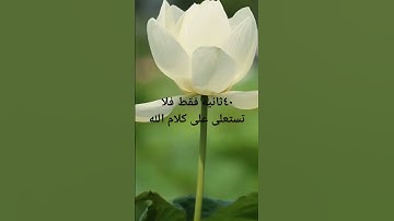 #فلسطين #quran #القرآن_الكريم #رمضان_يجمعنا #معا لنختم القران الكريم في رمضان