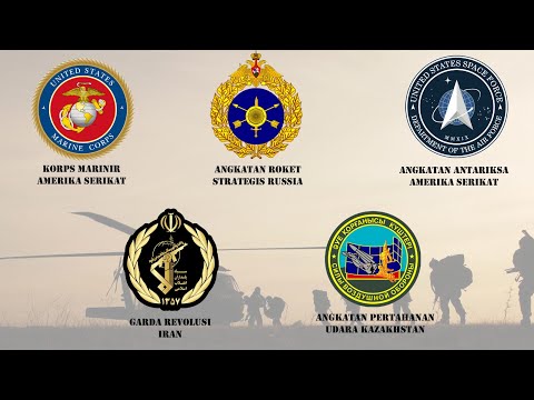 Video: 6th Air Force and Air Defence Army: penerangan, struktur, fungsi dan tugas