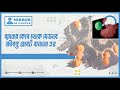 ব্যাঙের কোষ থেকে যেভাবে জীবন্ত রোবট বানানো হয়
