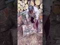 🌳 World's Costliest Wood 😱 | Most Expensive Wood in the World #fact #facts