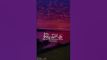 سورة الذاريات وَفِي السَّمَاءِ رِزْقُكُمْ وَمَا تُوعَدُونَ (22)