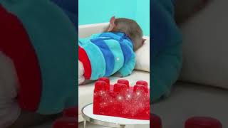 Baby Shark #animalshome #monkeybonbon #cutemonkey #kindergarten #bobykidstv #monkeyfunnyvideos