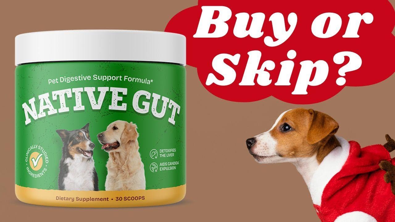 Native Gut for Dogs Review – Worth Buying or Not