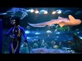 しながわ水族館の生き物たち 2018年8月10日 の動画、YouTube動画。