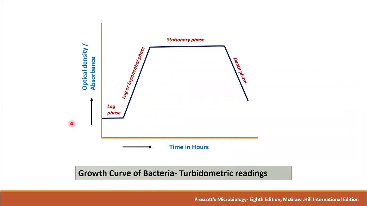 Bacterial growth curve Turbidometry method YouTube