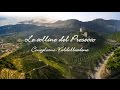 "Le colline del Prosecco" Conegliano-Valdobbiadene || DJI PP3