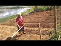 CHUVA NO SÍTIO É TEMPO DE COLOCAR MINHA ROÇA PLANTANDO MACAXEIRA E BATATA