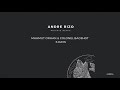 Mahmut Orhan & Colonel Bagshot - 6 Days (Andre Rizo Private Remix)