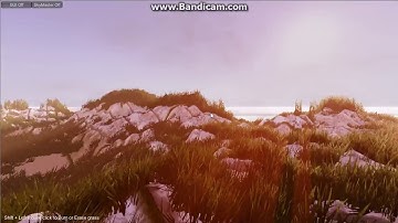 InfiniGRASS 2.0 - Endless world - next gen grass - True placement variety