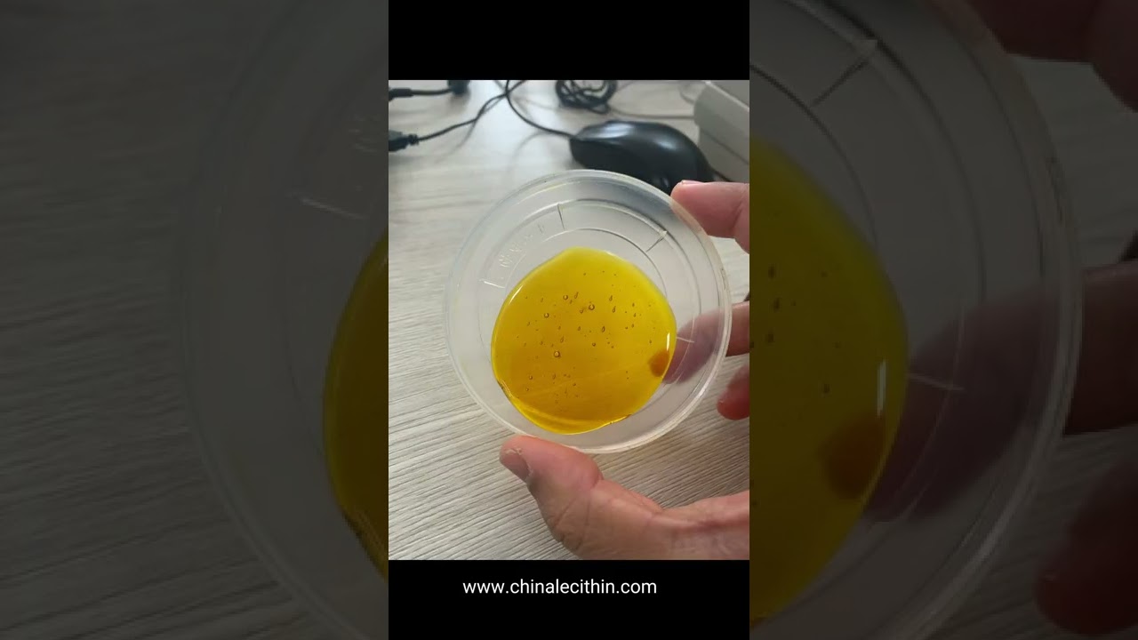 GMO Free Soy Lecithin