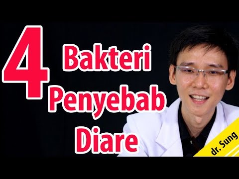 4 Bakteri Penyebab Diare ( sakit perut)