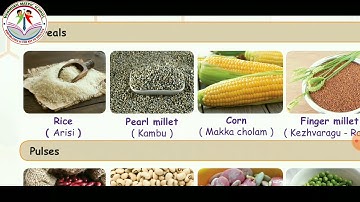 STD-II EVS (TERM-II ,UNIT-I, FOOD AND HEALTH PART-I)
