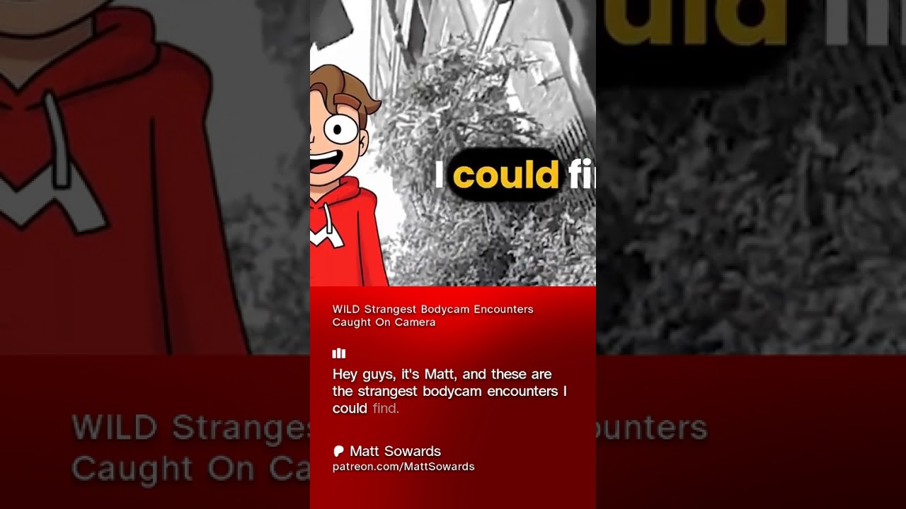 Wild moments on bodycam 