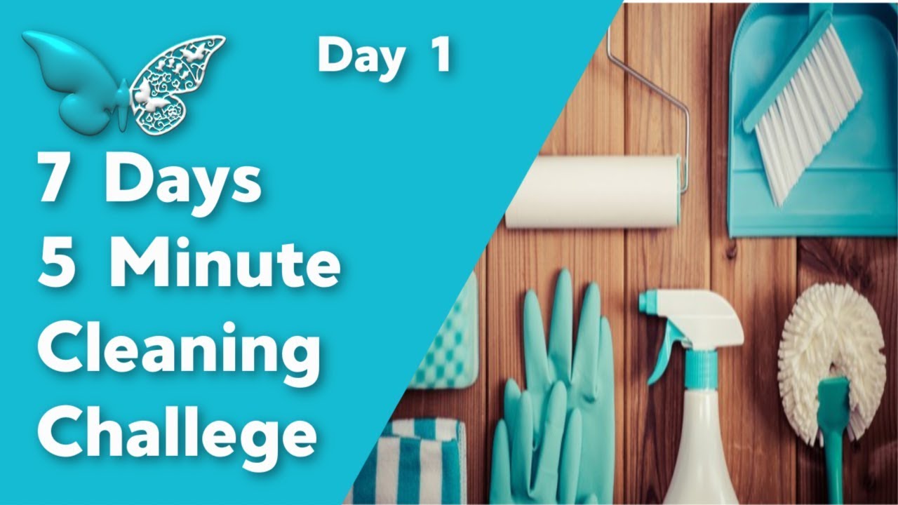 Cleaning Challenge | 7 Day 5 Minute Cleaning |  Day 1