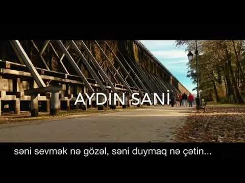 Aydin Sani Seni sensiz sevirem