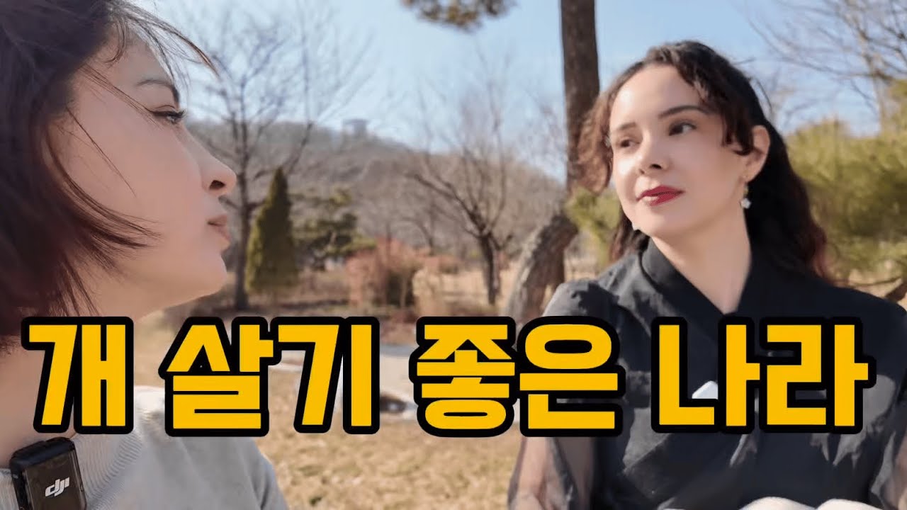 [4K]  외국인이 말하는 한국은 강아지도 살기 좋은 나라