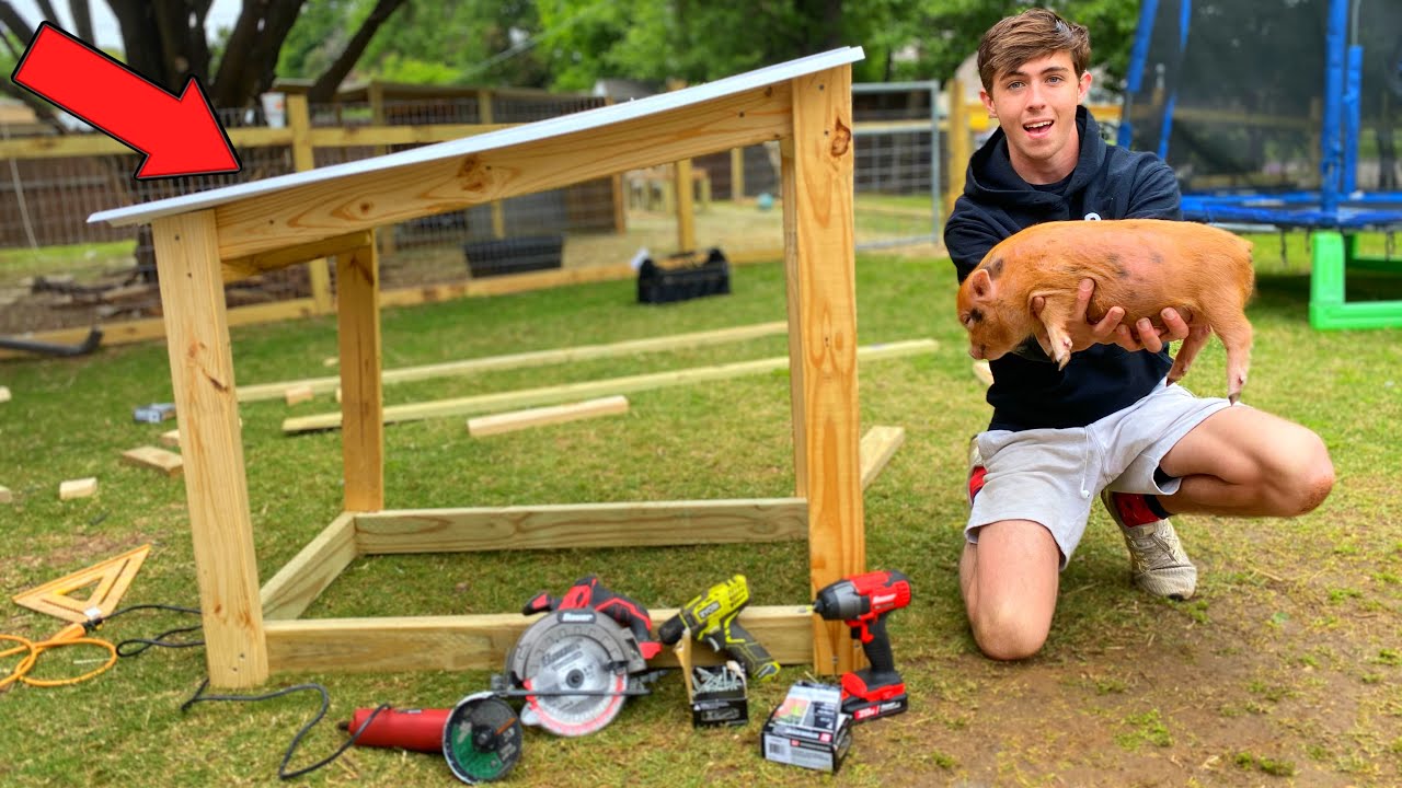 BUILDING MY MINI PIG A MINIATURE HOUSE!!! (Pt.1) YouTube