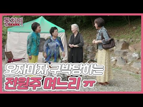 [선공개] 어머니의 급작스러운 소환에 당황ㅇㅅㅇ;; 캠핑장에 오자마자 구박당하는 전원주 며느리 ㅠㅠ MBN 211023 방송