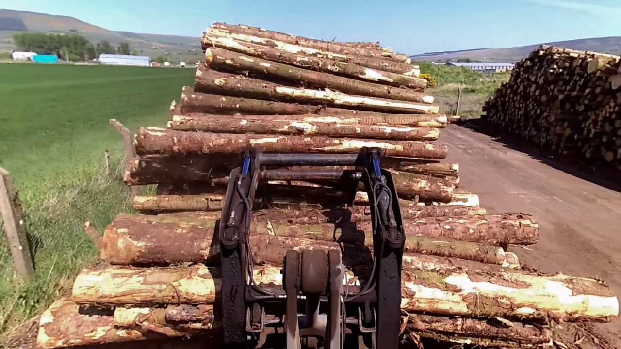 2  Drenagh   Log sorting