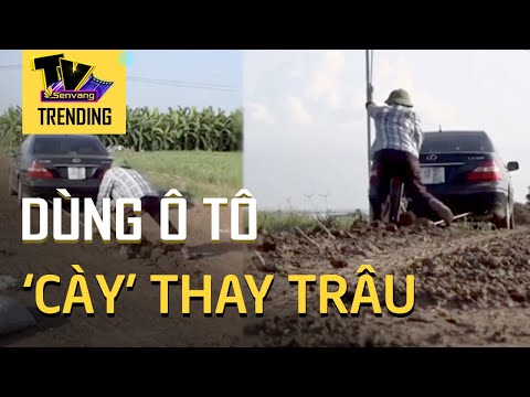Video Người nông dân đội mũ cối mang hẳn ô tô 4 chỗ để cày... - youtube