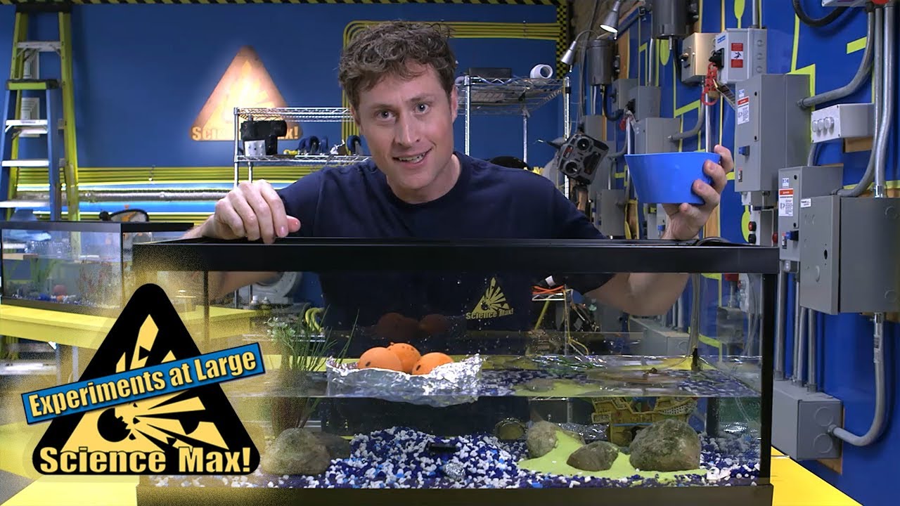Science Max How To Make A Tinfoil Boat YouTube Science Max How To Make A Tinfoil Boat YouTube