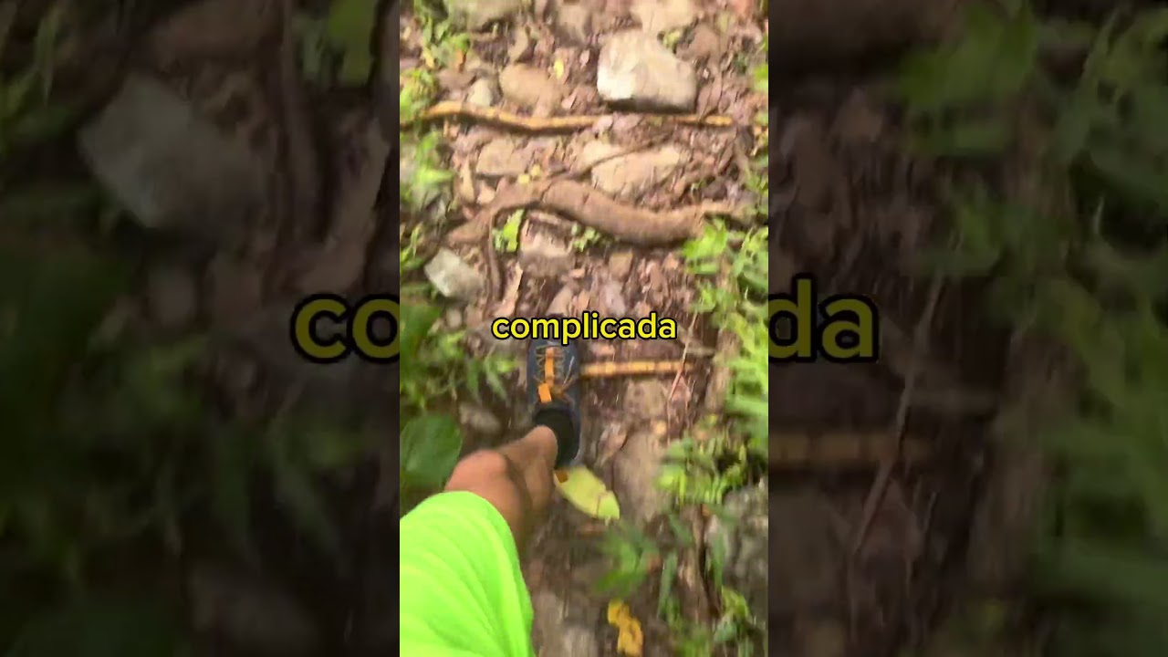 Charco El Pilon y Charco La Iglesia 