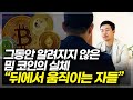 그동안 알려지지 않은 밈 코인의 실체! &quot;뒤에서 움직이는 자들&quot;