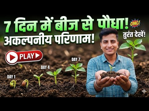 7 DAYS JOURNEY OF THE PLANT || 7 दिन तक होने वाले बदलाव A 7 DAYS challenge video #trending #viral 