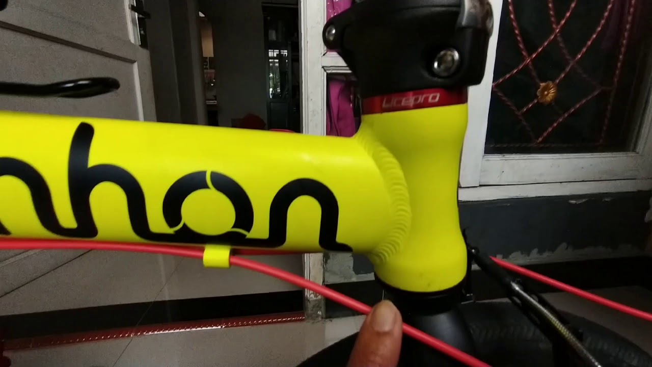 fnhon freedom review