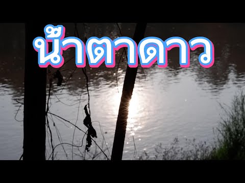 น้ำตาดาว