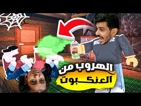 لولو تحولت الى عنكبوت