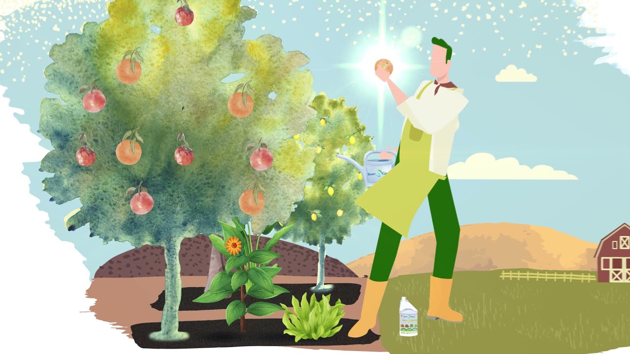 Swift Grow Organic Fertiliser Fertilizer Supplier in Richmond