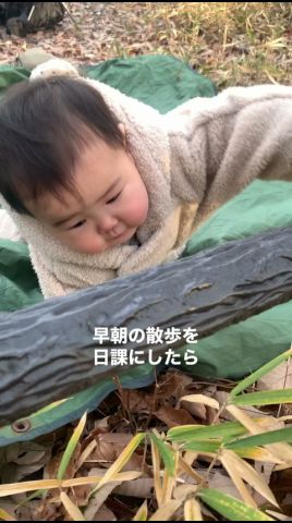 早朝の散歩を日課にしたら娘の夜間の睡眠はどうなるかの記録219日目です。#赤ちゃん#子育て#生後8ヶ月