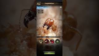 Ants Underground Kingdom | Part 3