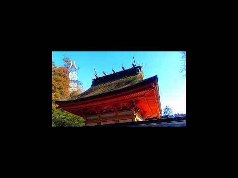 【神社巡り】早春の参拝 水戸八幡宮 #茨城県観光 #旅行