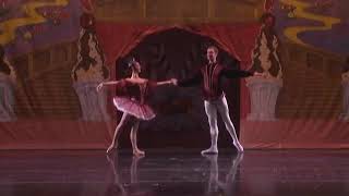 Nutcracker  pas de deux 2011