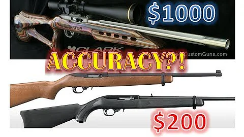 Ruger 10/22 Accuracy: $200 Factory vs $1000 Matchgrade