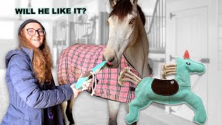 AMAZING Gift For My Horse Rocket (Watch this) Video