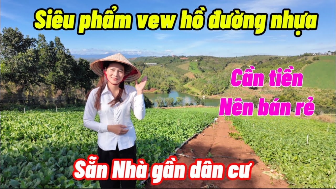 Chủ ngợp cần bán gấp mảnh VEW hồ siêu đẹp . Gần dân cư  mặt đường nhựa . Giá siêu rẻ 