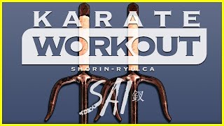 15 Minute Karate Workout - SAI