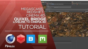 Quixel Bridge 2019 livelink to Cinema 4d and Redshift
